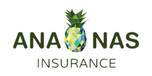 ananas-insurance-rxhoawjpdg9yxze5mdq1mjg